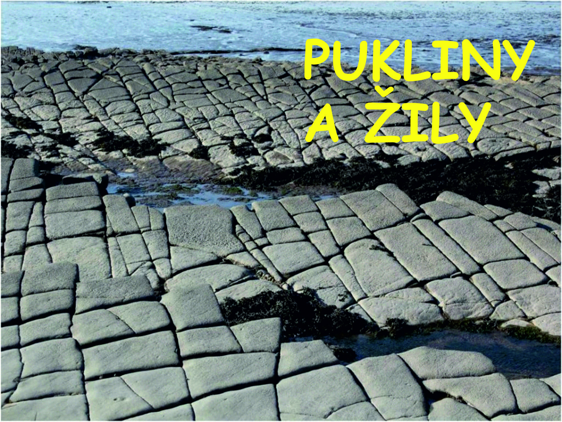 Pukliny a zily