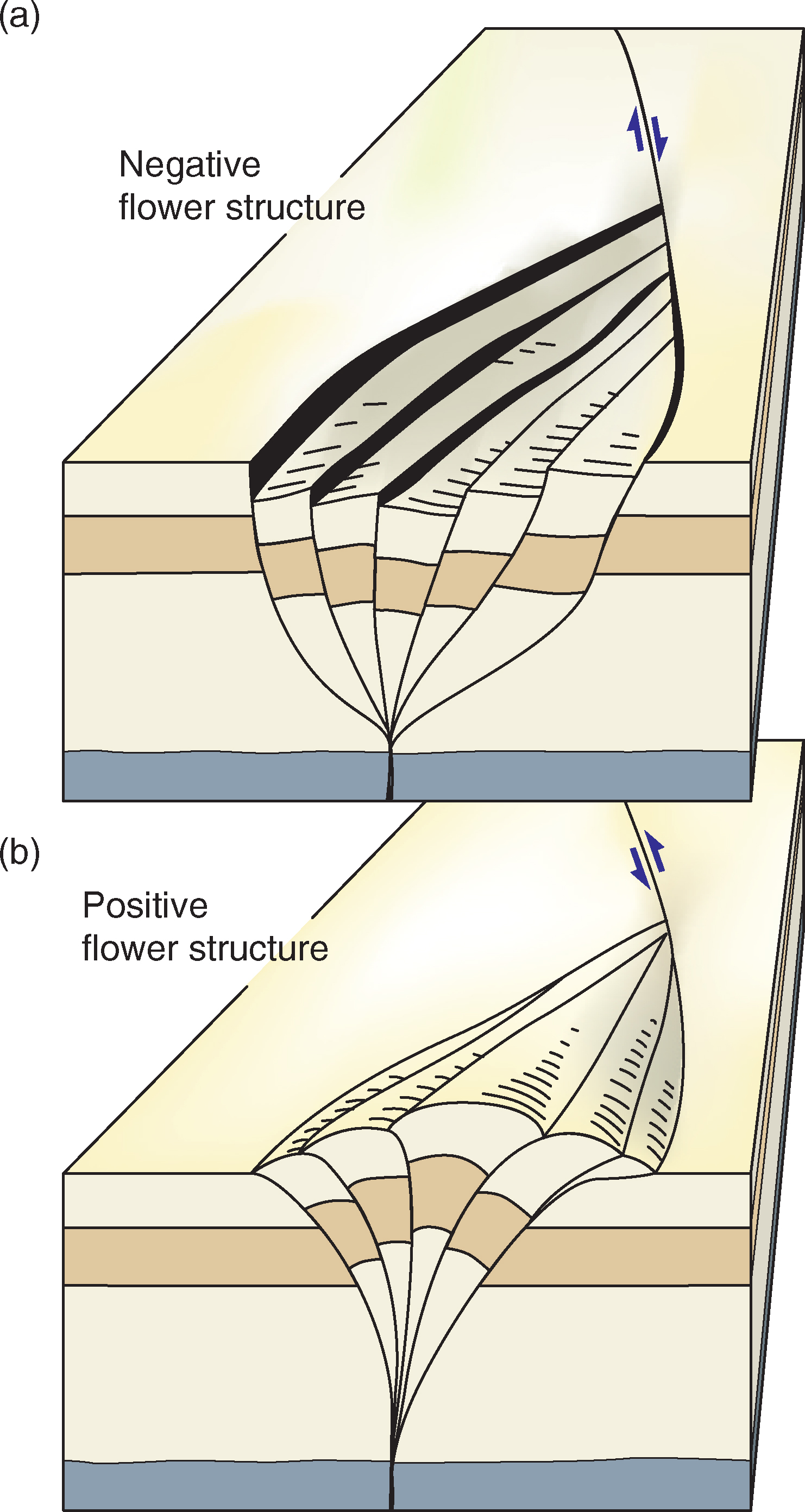 Obr. 5: Pozitívna a negatívna kvetinová štruktúra